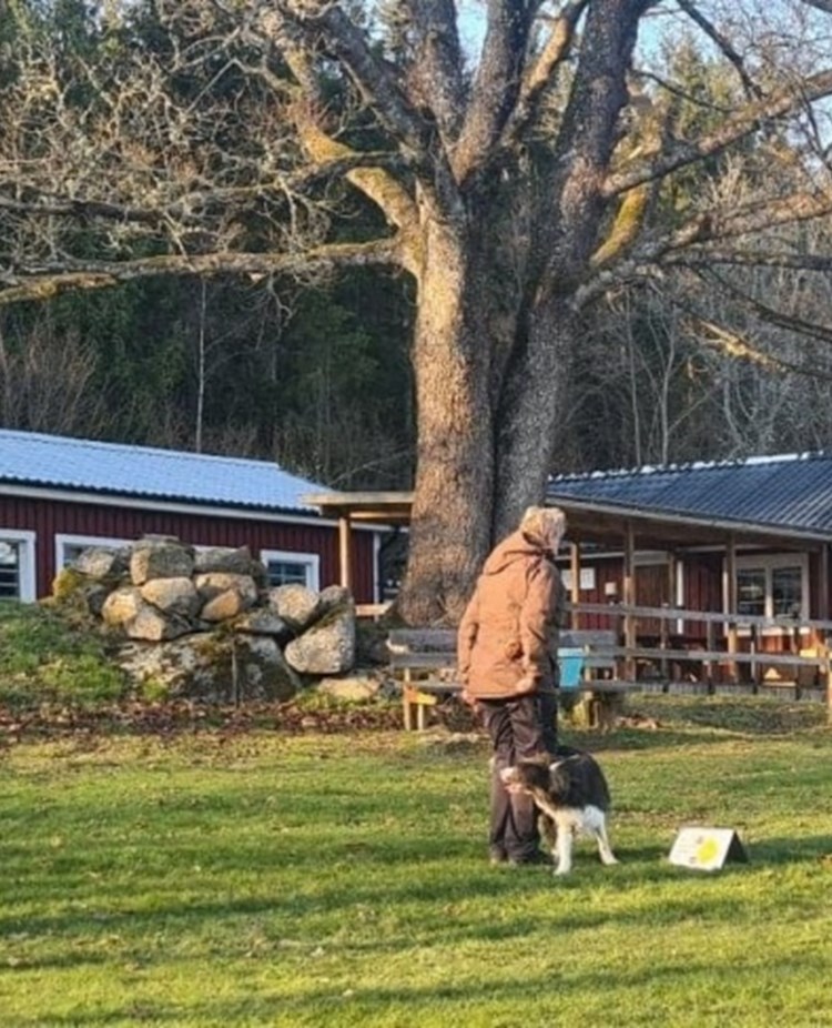 Klubbstuga