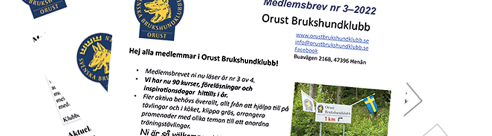 Tre av Orust Brukshundklubbs medlemsbrev i hög.